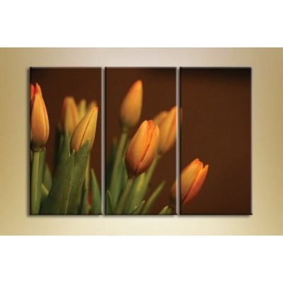 Pictură Gallerix Triptych Tulips brown (1150529)