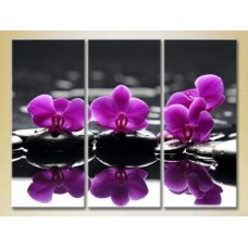 Pictură Gallerix Triptych Purple orchids on stones (2699452)