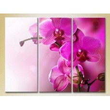 Картина Gallerix Triptych Purple Orchids 01 (2699451)