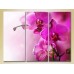 Картина Gallerix Triptych Purple Orchids 01 (2699451)