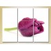 Картина Gallerix Triptych Purple Tulip 01 (2699448)