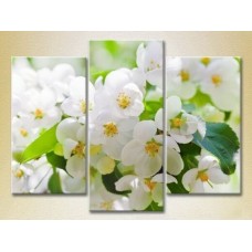 Картина Gallerix Triptych Apple Blossom 01 (2699454)