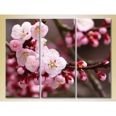 Картина Gallerix Triptych Blossoming Branch (2699450)