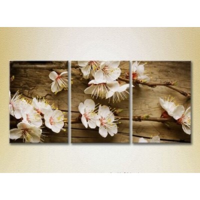 Картина Gallerix Triptych Blossoming branch on the board (2699447)