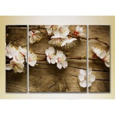 Картина Gallerix Triptych Blossoming branch on board 01 (2699446)