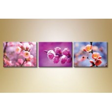 Картина Gallerix Triptych Sakura Flowers (1612535)