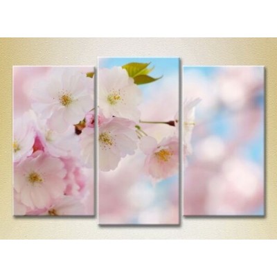 Картина Gallerix Triptych Sakura Flowers 02 (2699547)