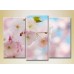 Картина Gallerix Triptych Sakura Flowers 02 (2699547)