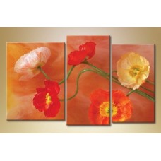 Pictură Gallerix Triptych five poppies (1563269)