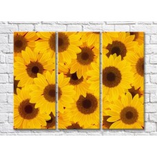 Pictură Gallerix Triptych Abstraction from sunflowers (500730)