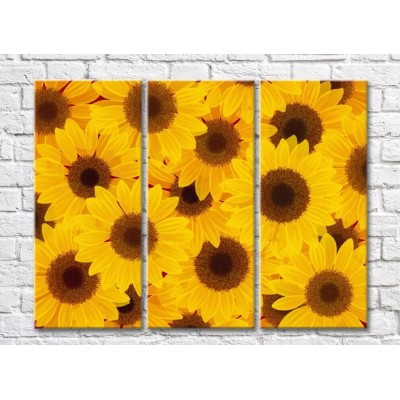 Картина Gallerix Triptych Abstraction from sunflowers (500730)