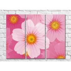 Pictură Gallerix Triptych Abstraction from pink flowers (500731)