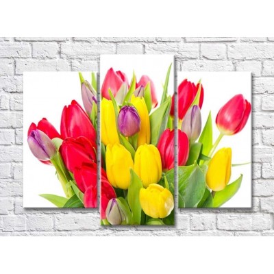 Pictură Gallerix Triptych bouquet of colorful tulips (500732)