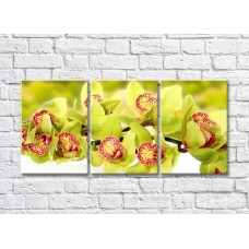 Pictură Gallerix Triptych Green Orchid Branch (500733)