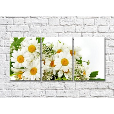 Pictură Gallerix Triptych Chamomile bouquet (500736)