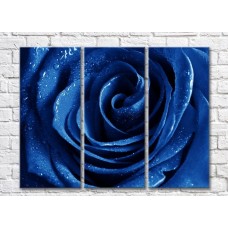 Pictură Gallerix Triptych blue rose (500737)