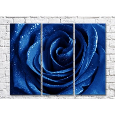 Pictură Gallerix Triptych blue rose (500737)