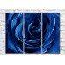 Pictură Gallerix Triptych blue rose (500737)