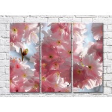 Pictură Gallerix Triptych cherry blossom (500738)