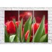 Pictură Gallerix Tulips on a red background with hearts (500744)