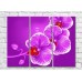 Pictură Gallerix Purple orchid on purple background (3448921)