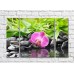 Pictură Gallerix Purple orchid on stones against a background of bamboo leaves (500747)