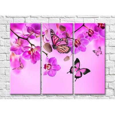 Pictură Gallerix Purple orchids and butterflies on a pink background (500756)