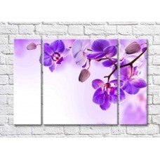 Pictură Gallerix Purple flowers and buds on an orchid branch (500758)