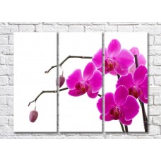 Pictură Gallerix Purple orchid flowers on branches with buds (500759)