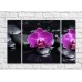 Pictură Gallerix Purple orchid flowers on a black background with stones (500760)