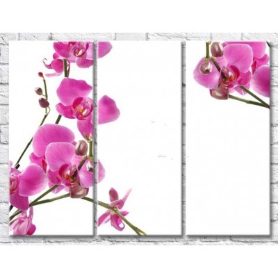 Pictură Gallerix Fragile twigs of orchids with flowers and buds (500765)