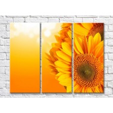 Pictură Gallerix Sunflower flowers on an orange background (500772)