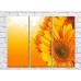 Pictură Gallerix Sunflower flowers on an orange background (500772)