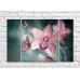 Pictură Gallerix Pink orchid flowers and butterflies on an emerald background (500773)