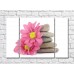 Картина Gallerix Pink gerbera flowers and flat stones (500774)