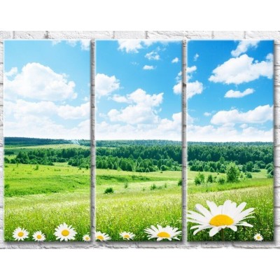 Картина Gallerix Chamomile flowers on the background of fields and forests (500776)