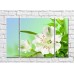 Картина Gallerix White alstroemeria flower and green leaves (500777)