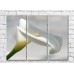 Картина Gallerix White calla flower on gray background (500779)