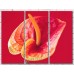 Картина Gallerix Calla flower and orange stamen on a scarlet background (500783)