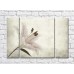 Картина Gallerix Lily flower on gray background (500787)