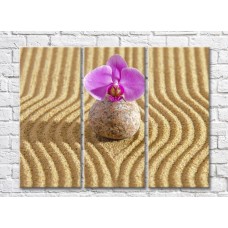 Картина Gallerix Orchid flower on a stone against a background of sand (500790)