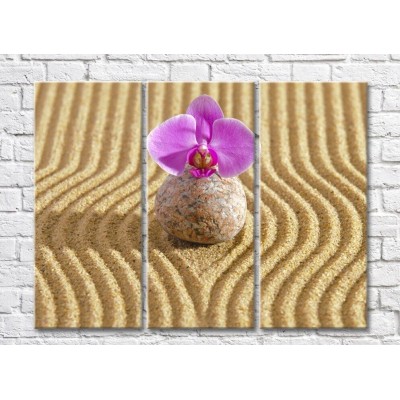 Картина Gallerix Orchid flower on a stone against a background of sand (500790)