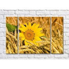 Картина Gallerix Sunflower flower in ears of wheat (500791)