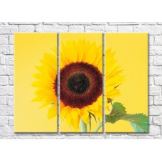 Картина Gallerix Sunflower flower on yellow background (500792)