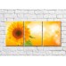 Картина Gallerix Sunflower flower on an orange background (500795)