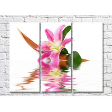 Картина Gallerix Pink lily flower by the water (500796)