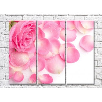 Pictură Gallerix Pink rose flower and petals (500797)