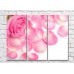 Pictură Gallerix Pink rose flower and petals (500797)