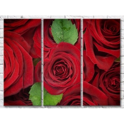 Pictură Gallerix Floral abstraction of red roses and leaves (500799)