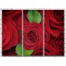 Pictură Gallerix Floral abstraction of red roses and leaves (500799)